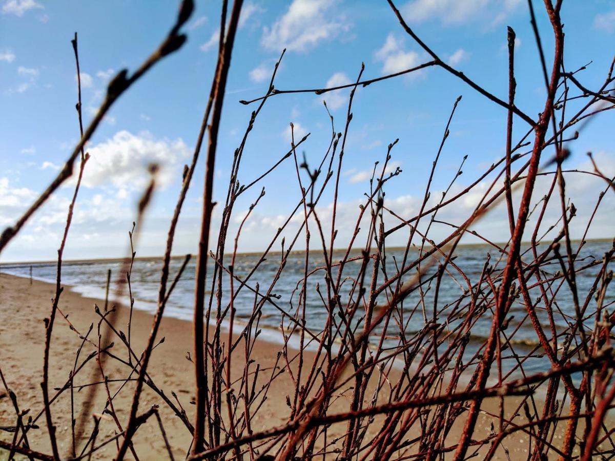 Haus Essen Whg. 8, Luettes Glueck In Cuxhaven-Duhnen Lejlighed Eksteriør billede